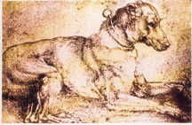 Historic Wolfhound