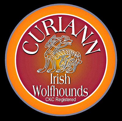 Curiann Irish Wolfhounds